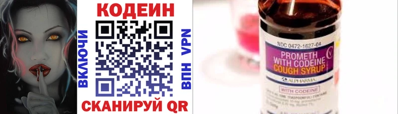 Купить закладки  Завитинск  Кодеиновый сироп Lean Purple Drank 