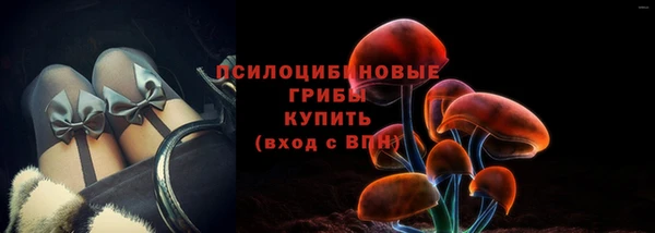 ALPHA PVP Карталы
